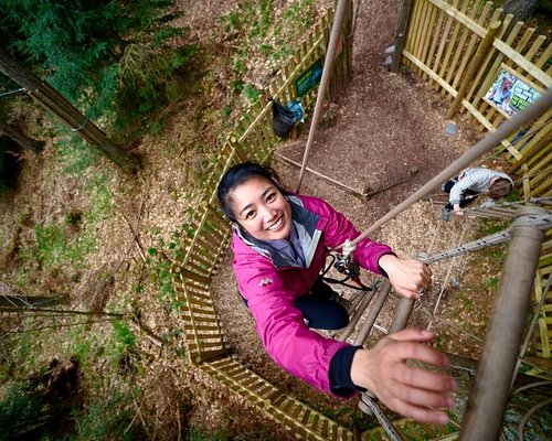 Go Ape Dalby Forest